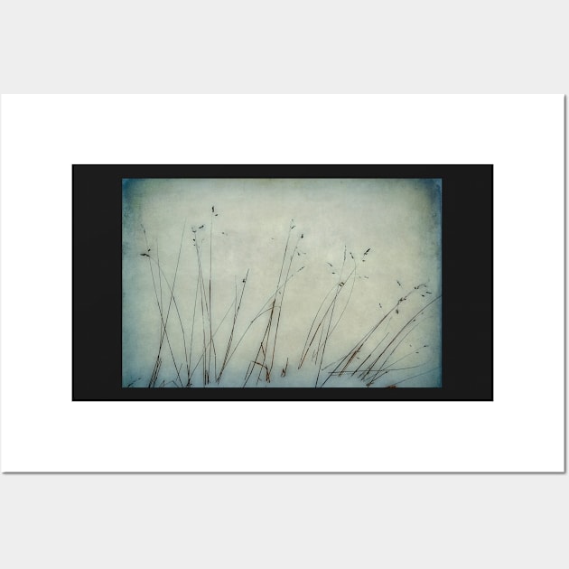 Grass in the Snow Wall Art by rosedew